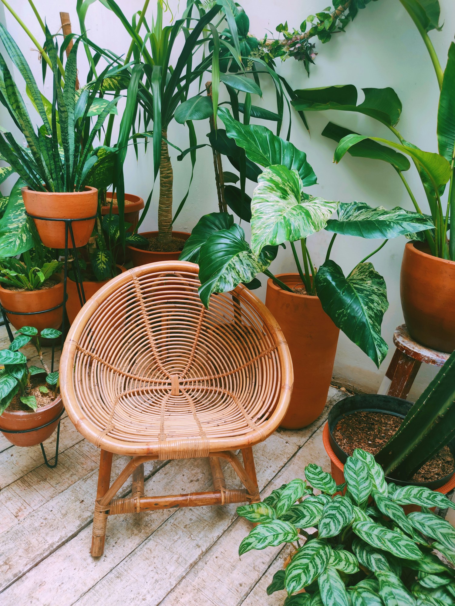 A textured woven planter on a wooden table beside foliage
